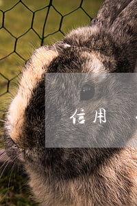 信用時代逾期-信期貸逾期