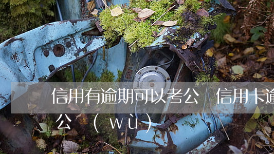 信用有逾期可以考公嗎(信用卡逾期會影響考公務(wù)員嗎)