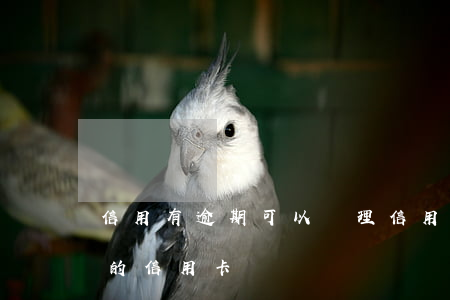 信用有逾期可以辦理信用卡嗎-逾期可以辦的信用卡