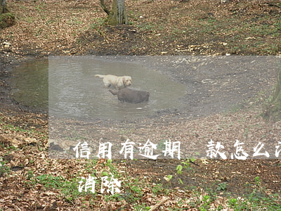 信用有逾期貸款怎么消除(貸款逾期征信如何消除)