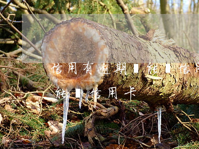 信用有逾期還能辦信用卡嗎(逾期了為什么還能辦信用卡)