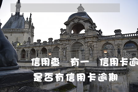 信用查詢有一個信用卡逾期-怎么查詢自己是否有信用卡逾期