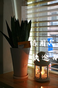 信用欠款逾期信用卡失效怎么還款-信用欠款逾期信用卡失效怎么還款呢