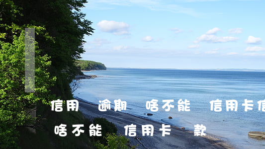 信用無逾期為啥不能辦信用卡(信用無逾期為啥不能辦信用卡還款)