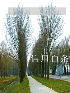 信用白条十四天逾期 白条逾期14天上征信