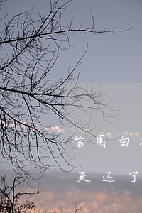 信用白条逾期2天再借 白条逾期了两天第三天还了没事吧