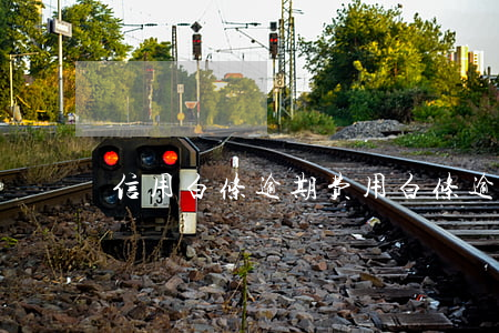 信用白条逾期费用(白条 逾期 征信)