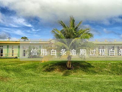 信用白条逾期过程(白条逾期多长时间)