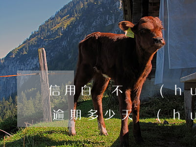 信用白條不還會(huì)逾期多久-白條逾期多少天會(huì)失信