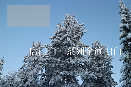 信用白條系列全逾期(白條逾期會進入失信名單嗎)