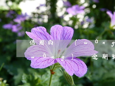 信用白條網(wǎng)貸逾期3個月(網(wǎng)貸逾期3個月會上征信黑名單嗎)