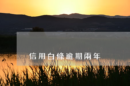 信用白條逾期兩年