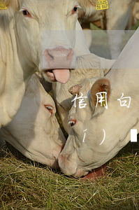 信用白條逾期幾天了 白條逾期多長時(shí)間上征信