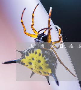 信用白條逾期收到逾期短信(白條逾期過)