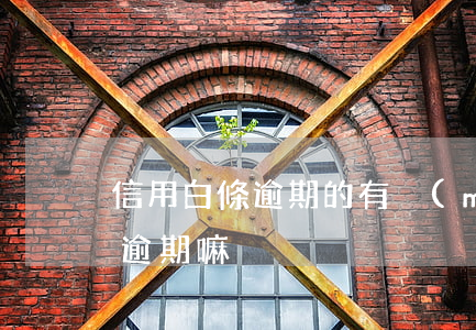 信用白條逾期的有沒(méi)有(白條可以逾期嘛)