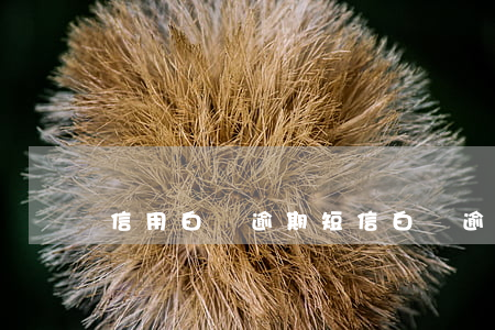 信用白條逾期短信(白條 逾期 征信)