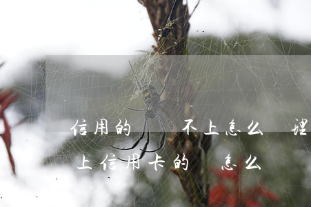 信用的錢還不上怎么辦理信用卡-如果還不上信用卡的錢怎么辦