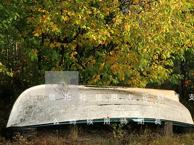 信用社信用卡可以透支多少(信用社透支卡什么時候用時間長)