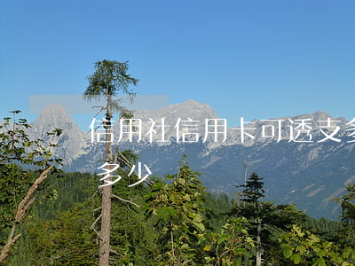 信用社信用卡可透支多少錢(新信用卡能透支多少錢)