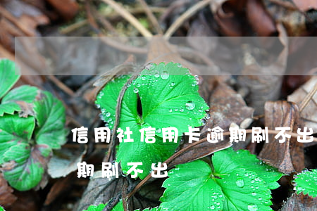 信用社信用卡逾期刷不出來(信用社信用卡逾期刷不出來)