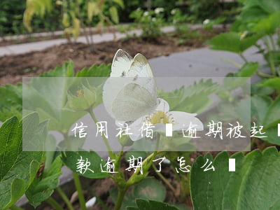 信用社借貸逾期被起訴后怎么辦 在信用社貸款逾期了怎么辦