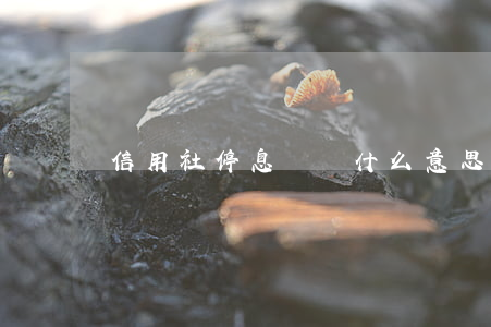 信用社停息掛賬什么意思(啥叫停息掛賬)