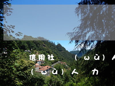 信用社債務(wù)人無力償還(信用社債務(wù)人無力償還會怎么樣)