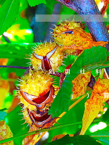 信用社利息當(dāng)天沒扣走會(huì)算逾期嗎-信用社利息當(dāng)天沒扣走會(huì)算逾期嗎怎么辦