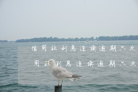 信用社利息连续逾期六次会中止借贷吗-信用社利息连续逾期六次会中止借贷吗