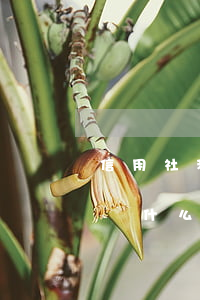 信用社利息逾期要被起訴嗎(信用社貸款逾期為什么不起訴)