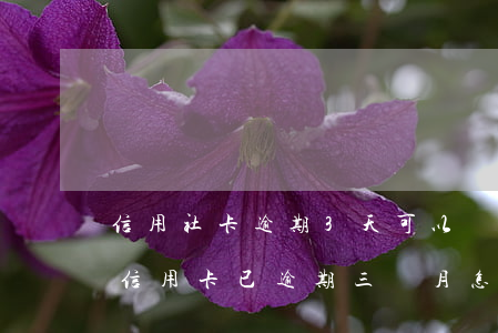信用社卡逾期3天可以嗎（農(nóng)行信用卡已逾期三個月怎么辦）