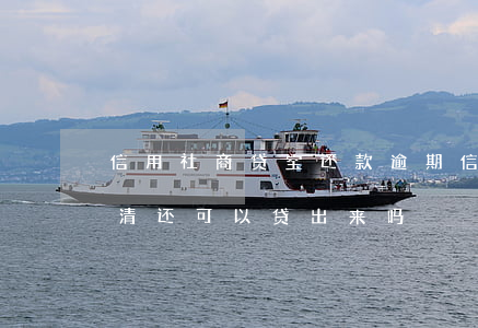信用社商贷宝还款逾期(信用社贷款逾期后还清还可以贷出来吗)