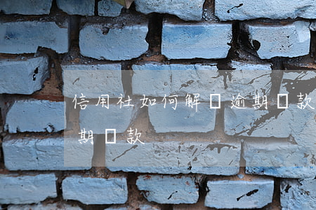 信用社如何解決逾期貸款(信用社如何解決逾期貸款)