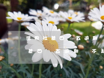 信用社差四萬五逾期還不起怎么辦-信用社差四萬五逾期還不起怎么辦呢