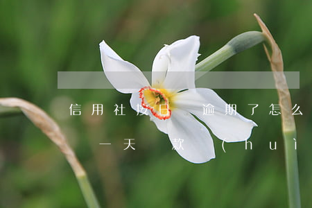 信用社按日貸逾期了怎么還款(信用社貸款延遲一天還款會(huì)逾期嗎)