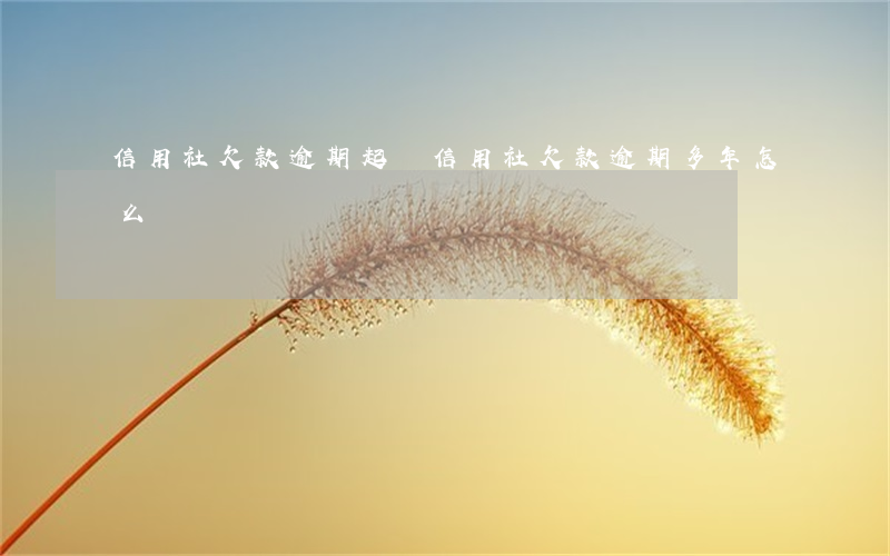 信用社欠款逾期起訴(信用社欠款逾期多年怎么辦)