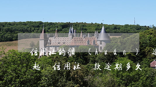 信用社的循環(huán)貸逾期多久會被起訴(信用社貸款逾期多久會被起訴)