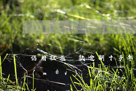 信用社老貸款逾期十多年(欠信用社二十年沒(méi)還了)