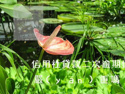 信用社貸款二次逾期(信用社貸款逾期兩個月嚴(yán)重嗎)