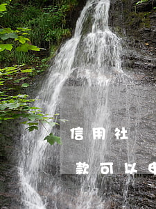 信用社貸款可以申請停息掛賬嗎?-信用社貸款可以申請停息掛賬嗎