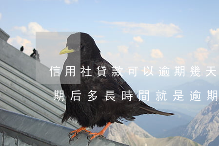 信用社貸款可以逾期幾天(農村信用社貸款到期后多長時間就是逾期)