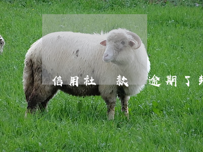 信用社貸款證逾期了封證