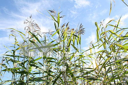 信用社貸款逾期10年(信用社貸款逾期10年怎么辦)