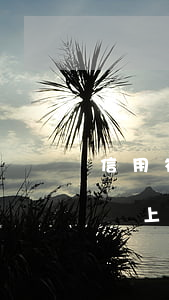 信用社貸款逾期不還起訴(欠信用社的貸款沒還上起訴了怎么辦)