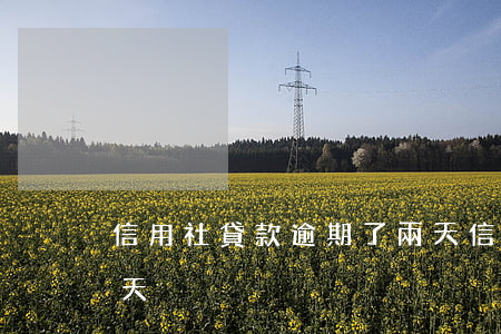 信用社貸款逾期了兩天(信用社貸款逾期了5天)