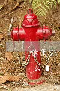 信用社貸款逾期十年(信用社貸款逾期十年怎么辦)