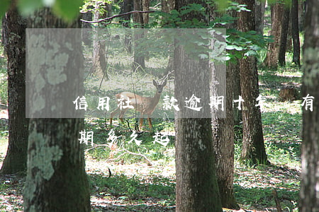 信用社貸款逾期十年沒有起訴(信用社貸款逾期多久起訴)