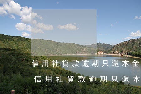 信用社貸款逾期只還本金不還利息可以嗎-信用社貸款逾期只還本金不還利息可以嗎