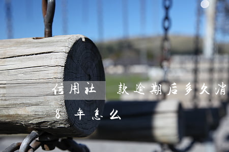 信用社貸款逾期后多久消除（信用社貸款逾期8年怎么辦）