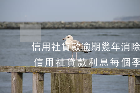 信用社貸款逾期幾年消除(農(nóng)村信用社貸款利息每個季度都逾期怎么辦)